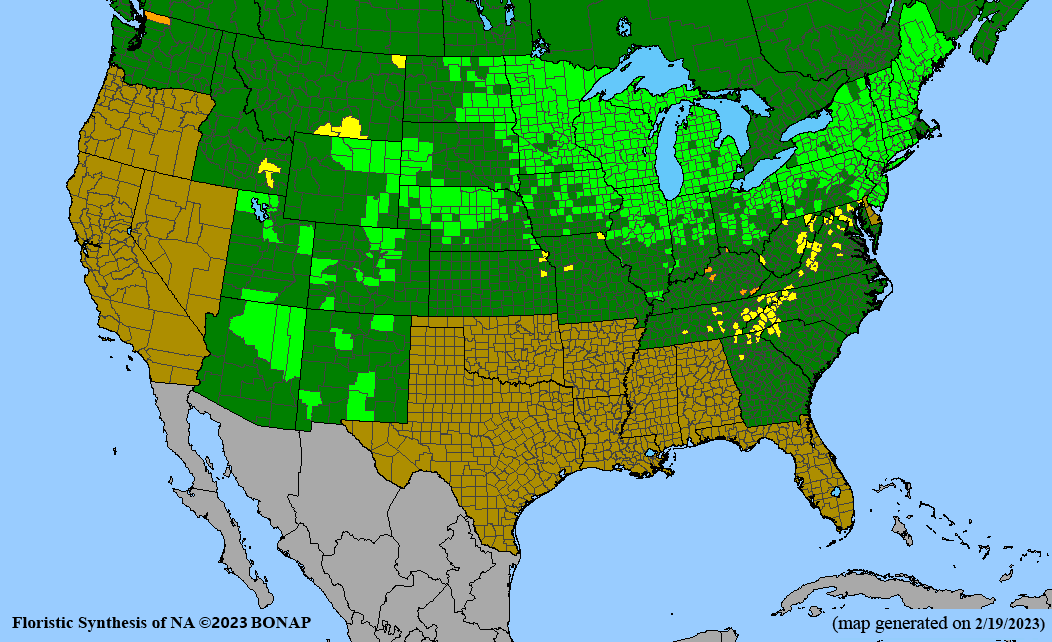 Eutrochium maculatum BONAP range map