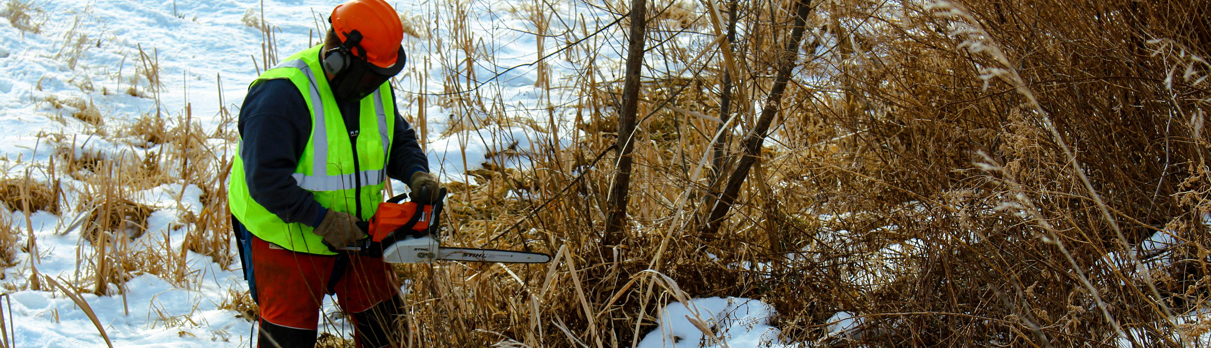 A roadside manager wearing a bright yellow vest and tinted visor operates a chainsaw while managing roadside vegetation in a snowy roadside.