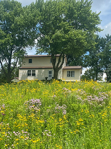 A home surrounded by trees behind a diverse planting of native roadside vegetation.
