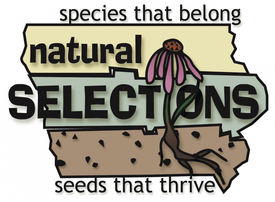 logo for Natural Selections: species that belong, seeds that thrive