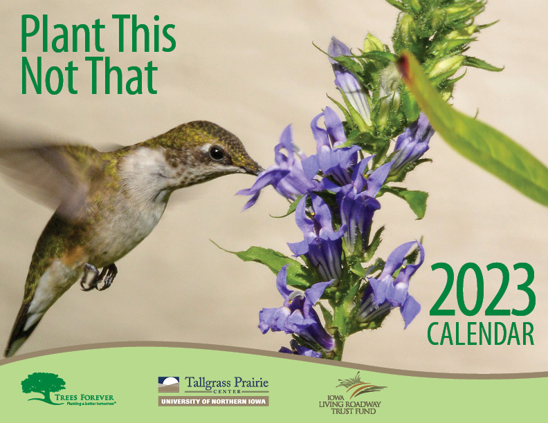 The cover of the 2023 Iowa Roadside Management calendar. A hummingbird feeing on a purple prairie plant is featured.