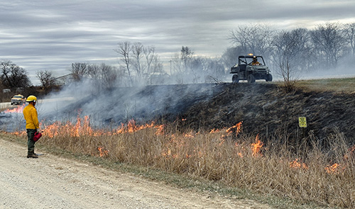 A person in yellow safety gear watches as a roadside burns during a prescribed burn.