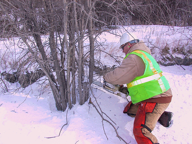 A roadside staff member wearing a yellow vest kneeling in the snow cuts down brush with a chainsaw.