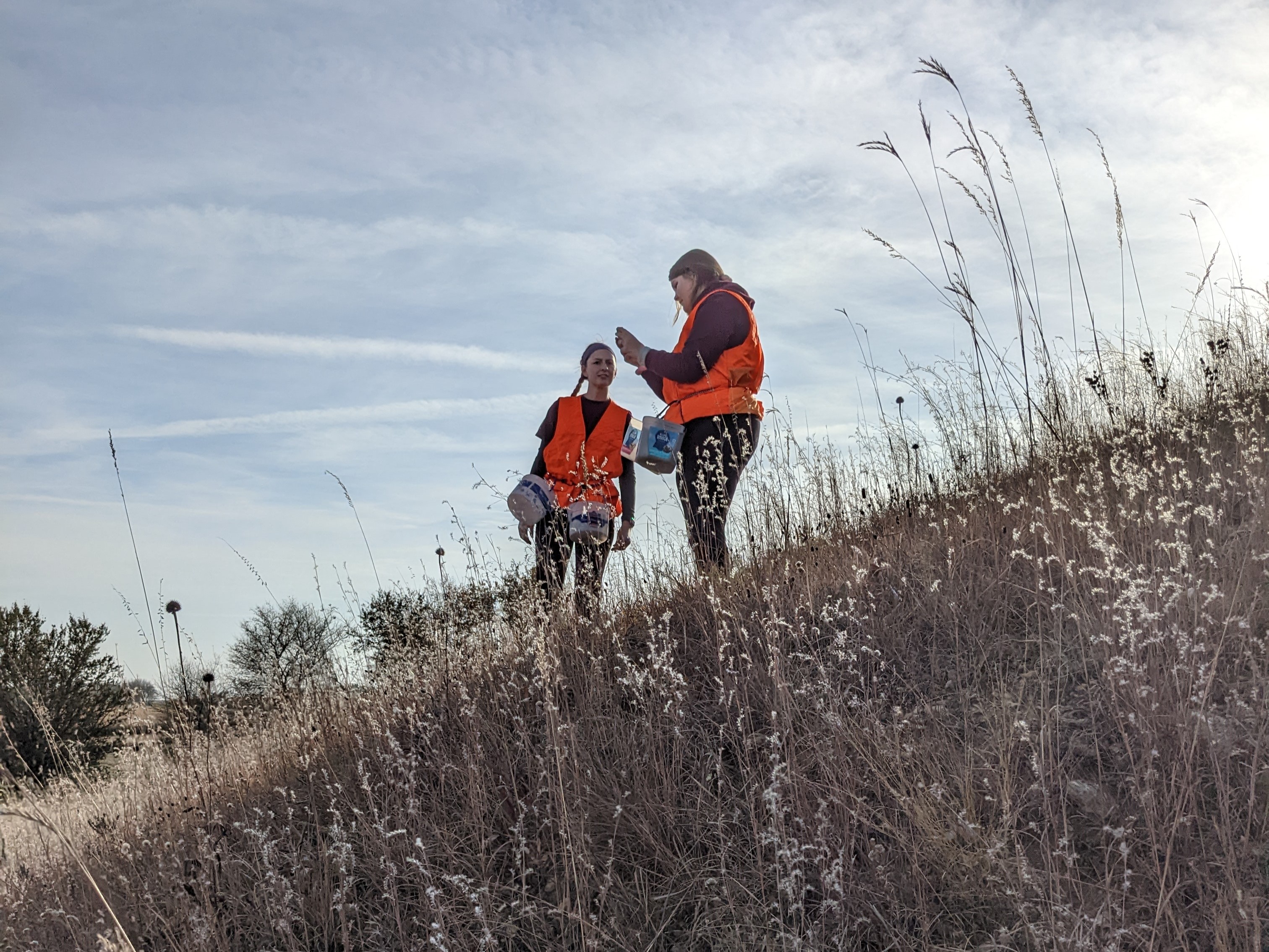 Two people collecting seed from a steep hill prairie in fall