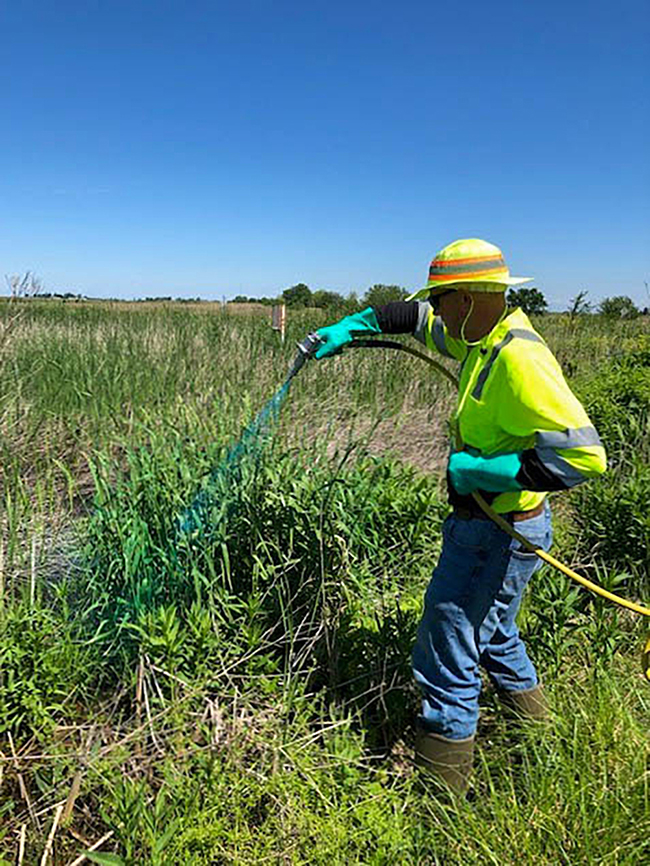 A roadside manager in yellow visibility gear sprays roadside vegetation with green herbicide.