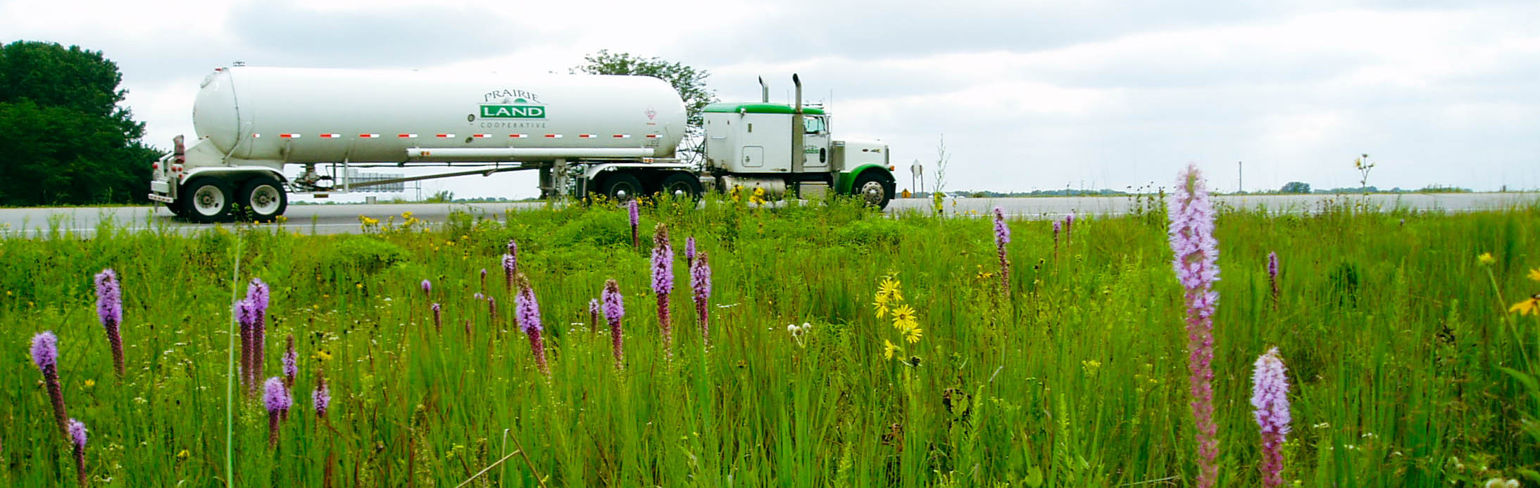 A tank truck drives on a road with native vegetation in the foreground.