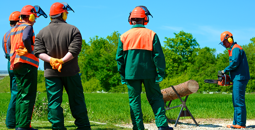 Four people in safety vests and safety headgear watch a person in similar gear holding a chainsaw and sawing a log.