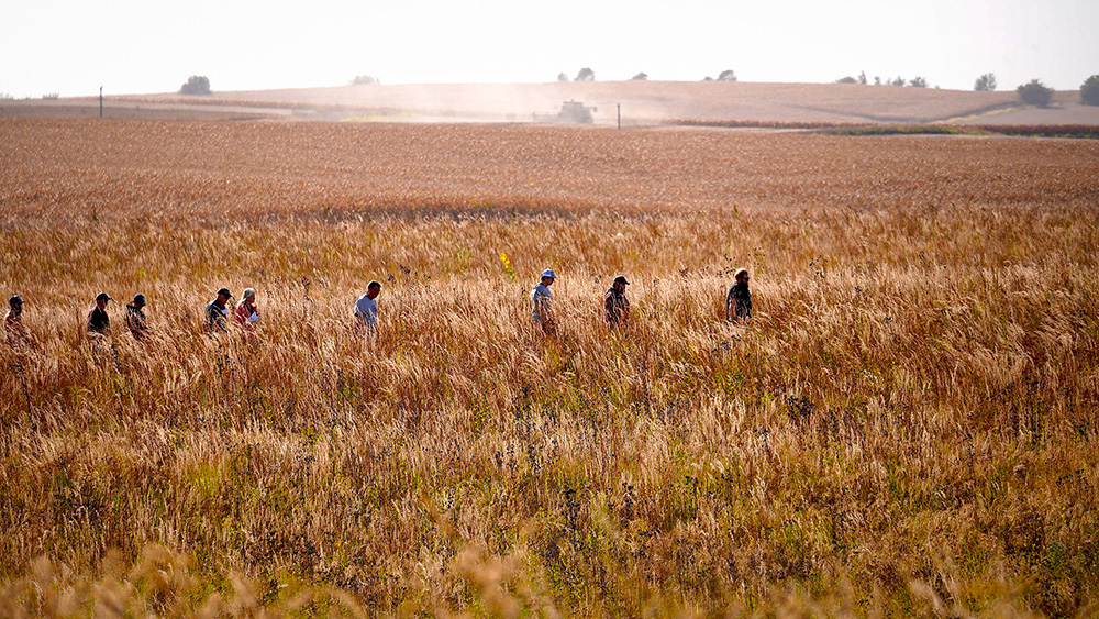 A group of people walk single-file through a 