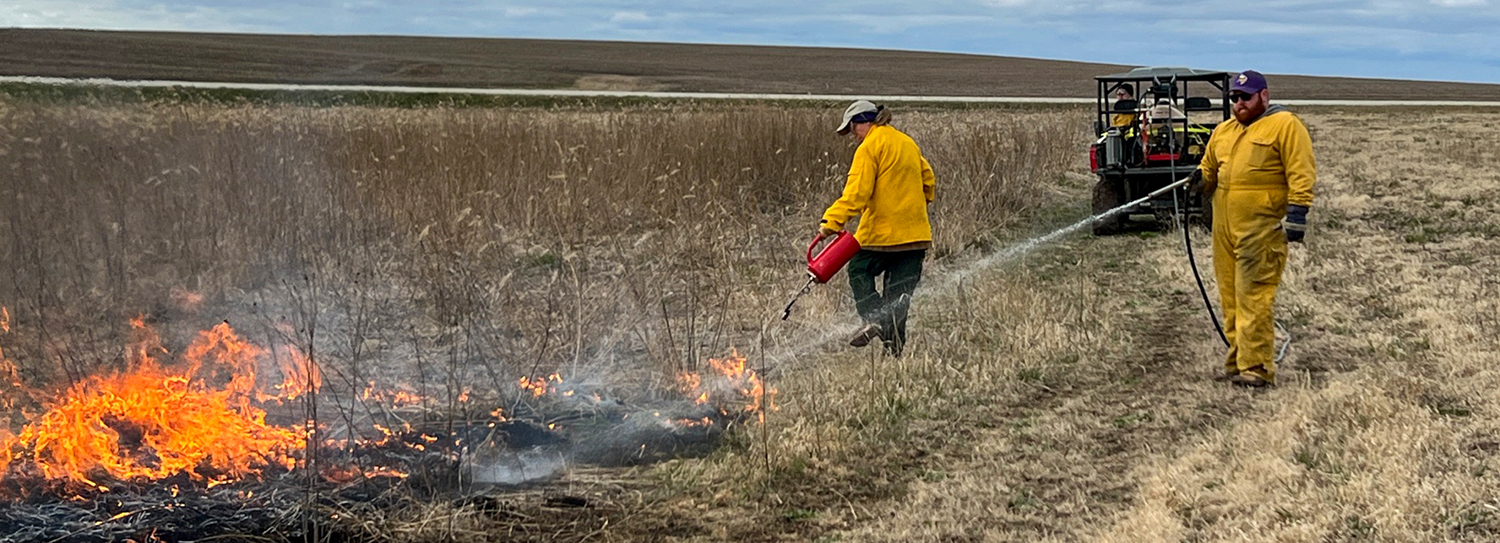 One controlled burn staff member uses a drip torch while another sprays water with a hose connected to a tank on an ATV. A gravel road is seen in the background.