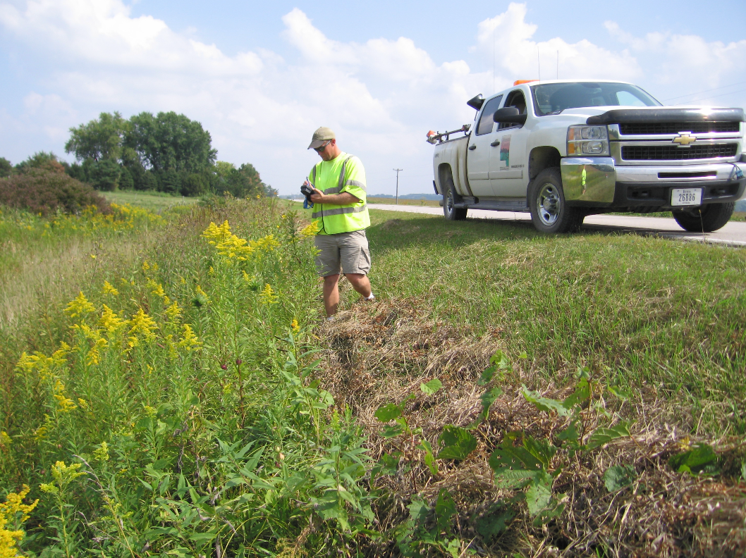 County worker assessing roadside filled with goldenrod